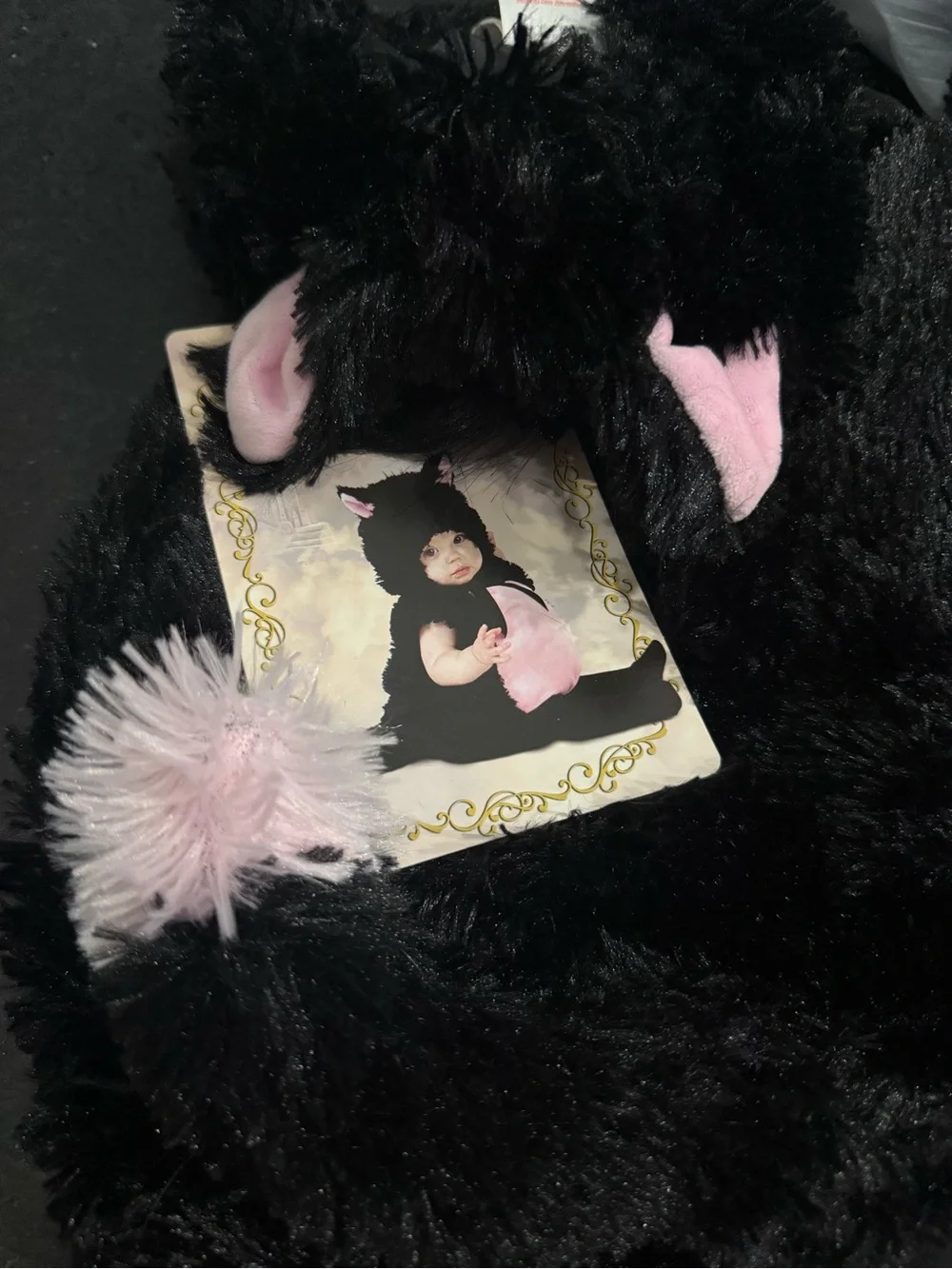 PRINCESS PARADISE Infant FUZZY Plush Black & Pink Kitty Cat Costume 6-12 Months